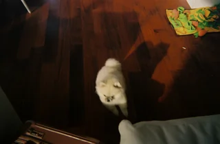boo!