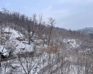 this is seoul snow