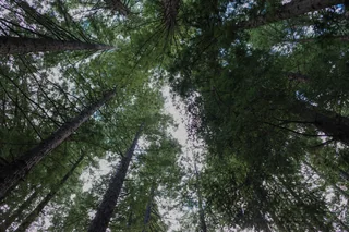 breathe