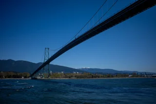 bridge