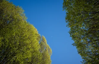 sky