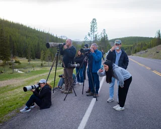 people watching grizzly mamma taking a massive shit