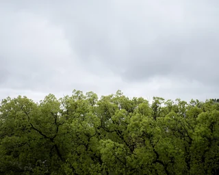 overcast