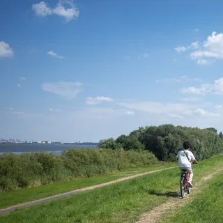 path