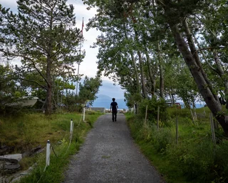 stroll