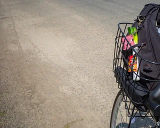 leek