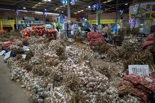 garlic