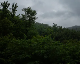 sky 2