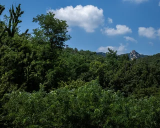sky 3
