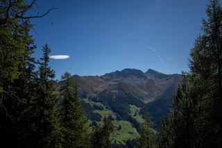 lenticular