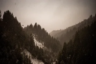Nov 2025: Zurich · 19