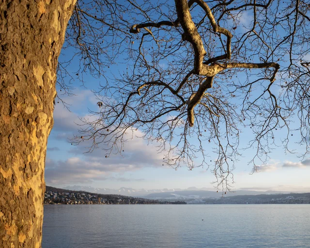 Nov 2025: Zurich · 14
