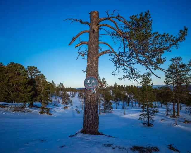 Feb 2026: Trondheim · 3