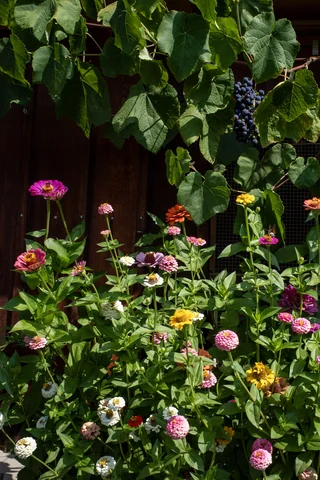 Jul 2026: Walensee · 3