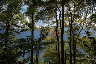 Jul 2026: Walensee · 5