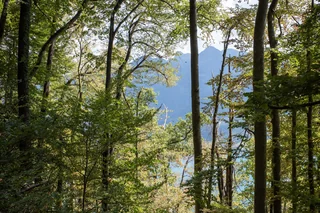 Jul 2026: Walensee · 6