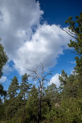 Sep 2026: Värmdö & Stockholm · 8